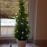 Z Ogrodem *