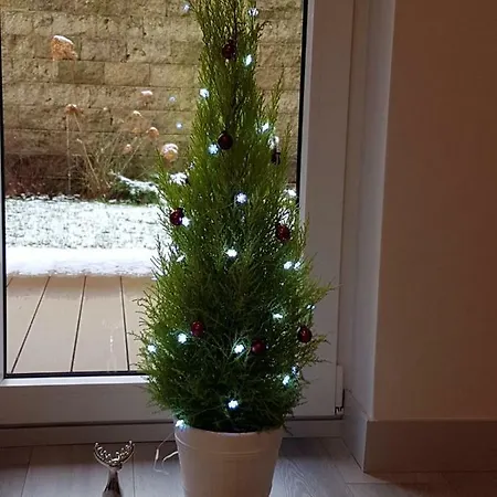 Z Ogrodem *